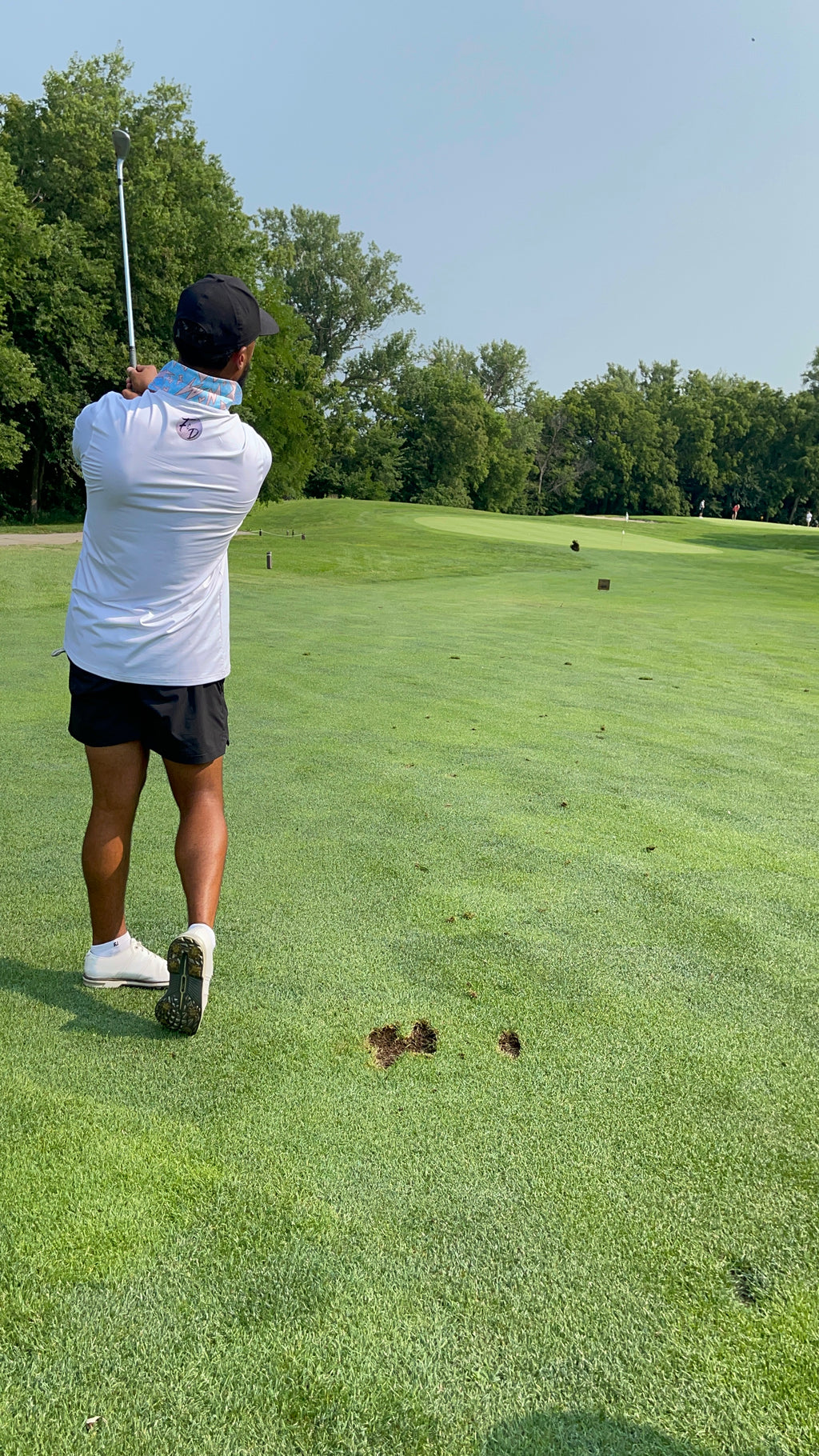 Plain Jane Rocco Polo